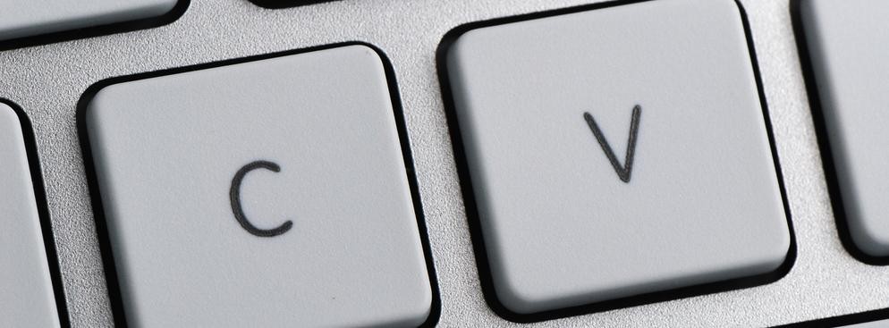 Czasami dobrze przyjęty może zostać hermetyczny, branżowy żart. CV w formie komiksu opisującego życie w branży social media, życiorys jako model budynku w przypadku architekta, a także: poemat, portret na płótnie i list w butelce - to niektóre z przykładów przytoczonych przez magazyn <a href=