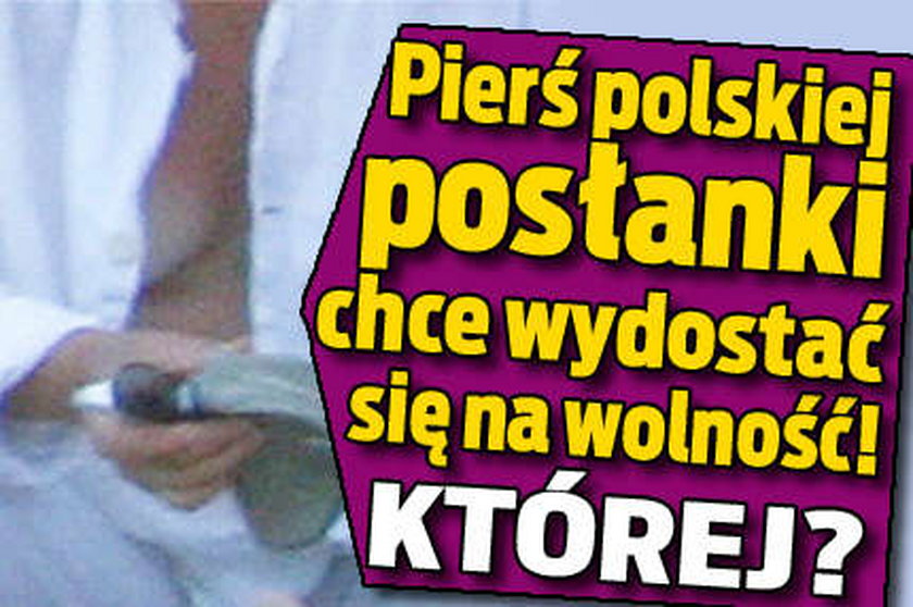 Oto pierś polskiej posłanki. Której?