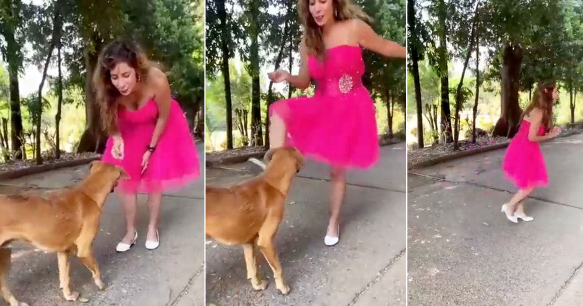 An influencer has apologized after a video of her kicking a dog while ...