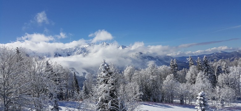Arktyczny atak zimy uderzy we wtorek. Mróz do -30°C i potężne śnieżyce sparaliżują Polskę. Prognoza na styczeń 2026