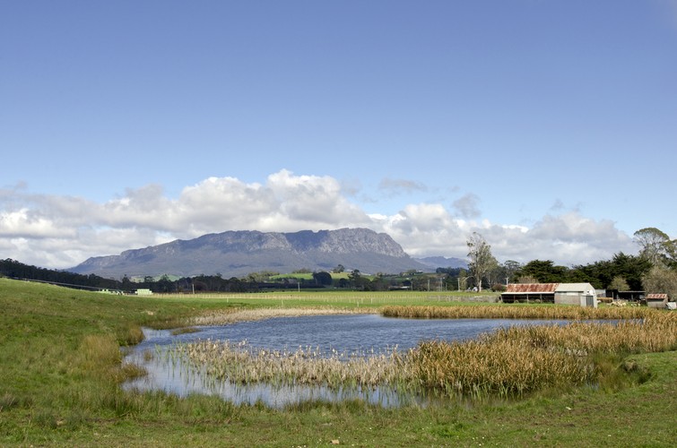 Sheffield w Australii. Co jest niezwykłego w tym mieście? Fakt, że jego mieszkańcy (jest ich ok. tysiąca) postanowili pomalować mury budynków w mieście w ponad 60 murali. Przyniosło to efekt, ponieważ „tasmańską galerię pod gołym niebem” odwiedza rocznie ponad 200 tys. turystów.