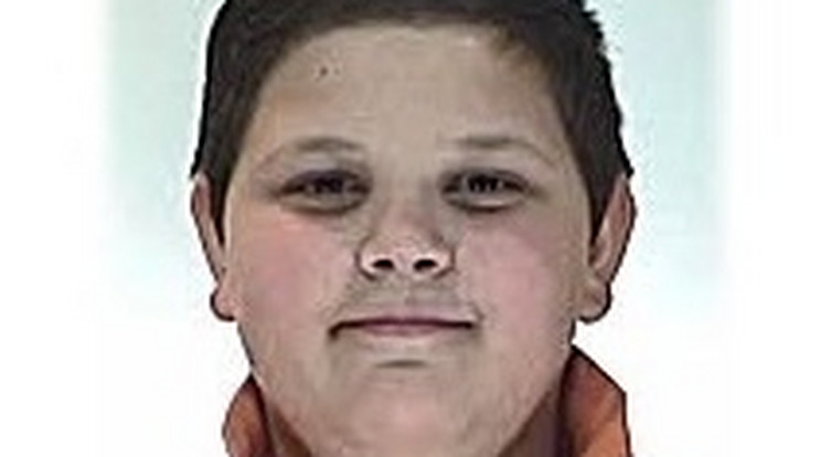 A 14 éves fiúnak még februárban veszett nyoma /Fotó: police.hu