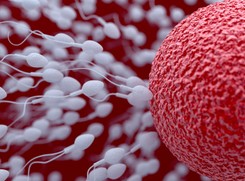 'Jest populacyjne pogorszenie parametrów nasienia'. Coraz więcej Polaków ma problem z płodnością