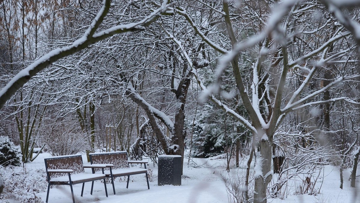 WARSZAWA ZIMA NIEG