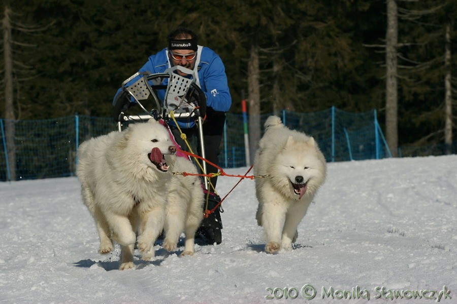 W dniach 26-27 lutego 2010 r. odbyły się Mistrzostw Świata WSA