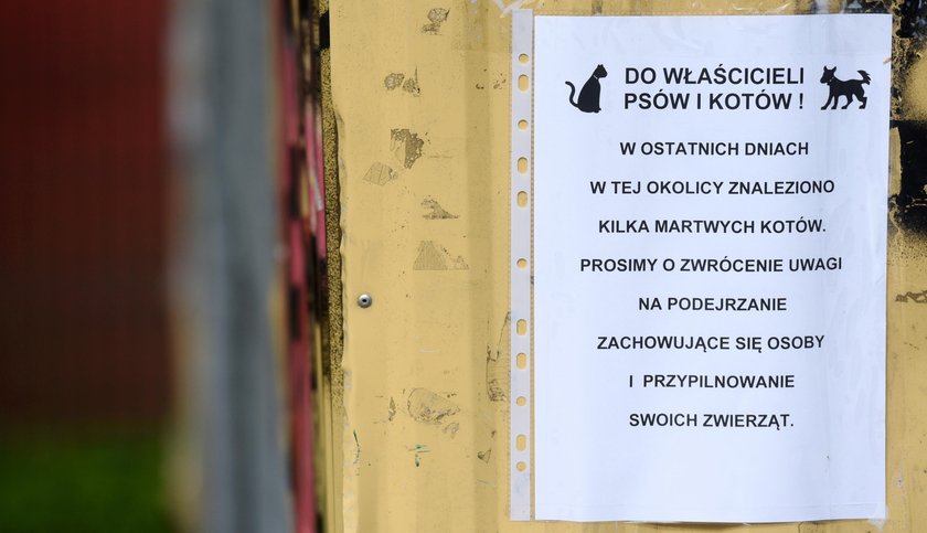 Trują zwierzęta na Ursynowie