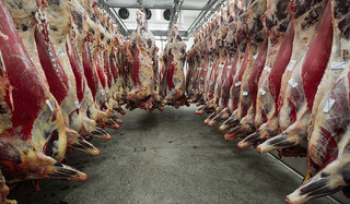 Litwa: Zakaz sprzedaży 80 kg polskiej wołowiny