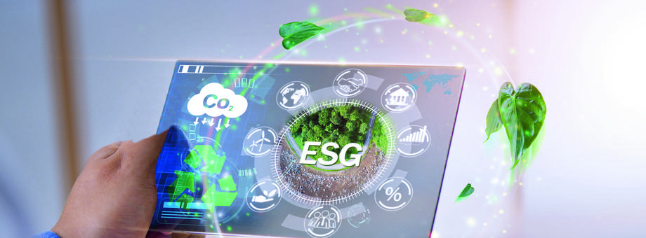 Strategie zrównoważonego rozwoju mają już w zasadzie wszystkie duże firmy. ESG stało się częścią niemal każdego biznesu.
