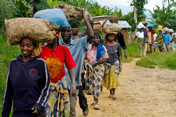 Pigmeje z dżungli w Afryce