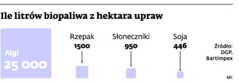 Ile litrów biopaliwa z hektara upraw