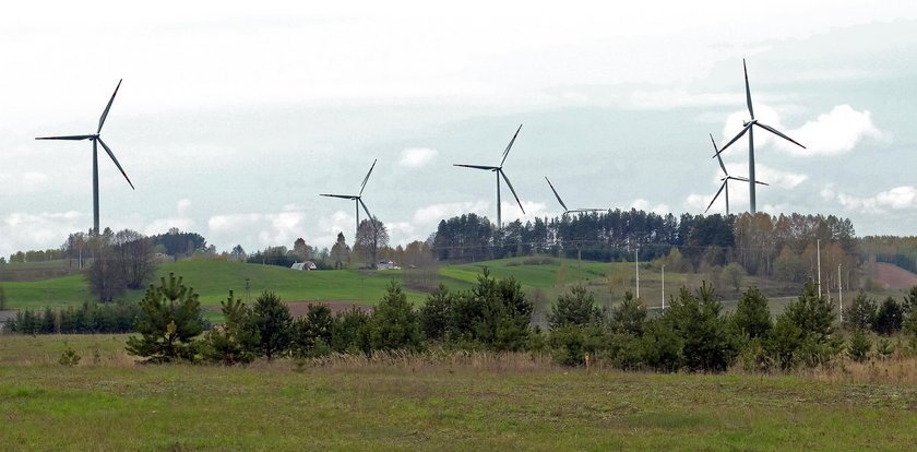 Farmy wiatrowe nadzieją dla polskiej gospodarki