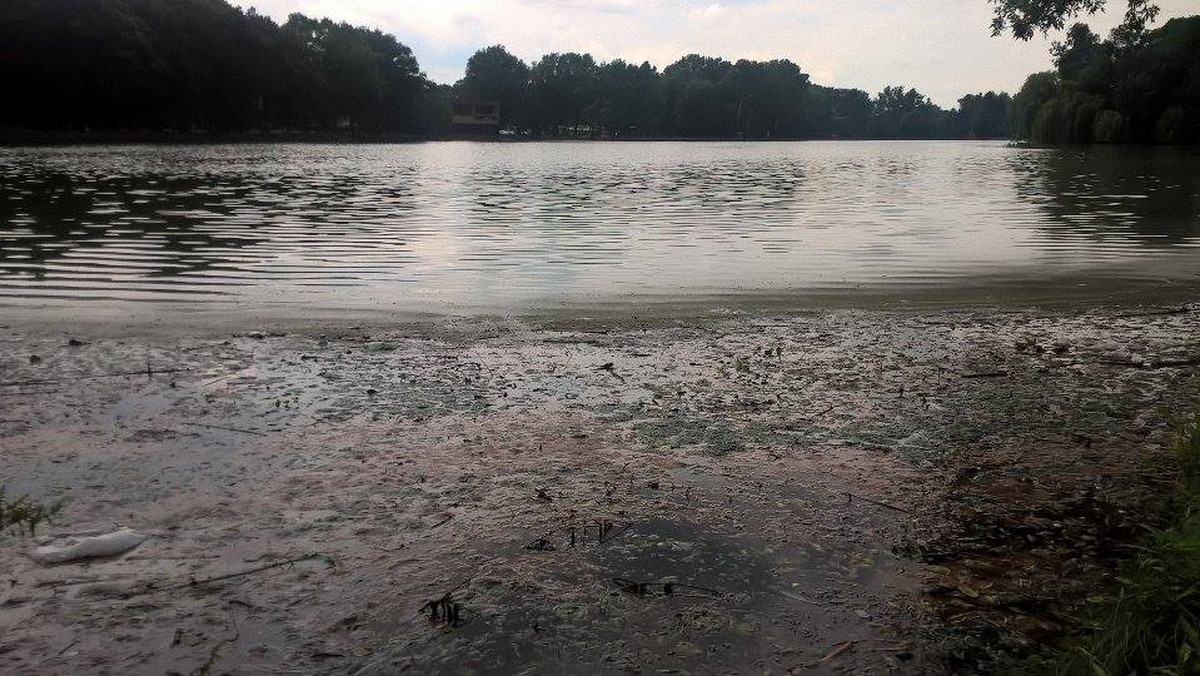 Rozbudowana plaża, budowa molo, odnowienie boiska do siatkówki plażowej, remont alejek, powstanie tężni solankowej, montaż nowych ławek oraz plenerowej sceny. Tak po zakończeniu prac ma wyglądać sąsiedztwo Zalewu Nowohuckiego. Zarząd Zieleni Miejskiej ogłosił właśnie przetarg na przygotowanie niezbędnej dokumentacji. Część robót ma rozpocząć się jeszcze w tym roku.