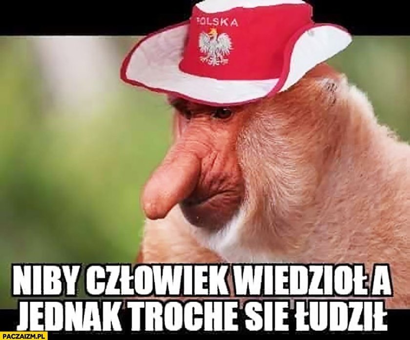 Memy po meczu Belgia - Polska 1:6