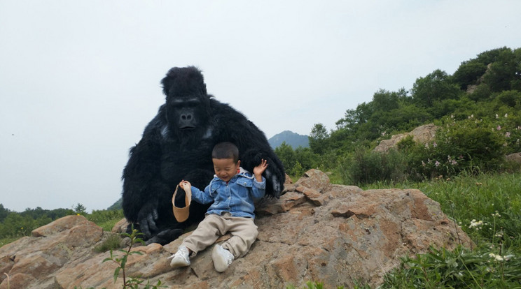 Ma Ming-csüan rendszeresen magára ölti gorilla jelmezét, és úgy játszik a fiával/ Fotó: Northfoto