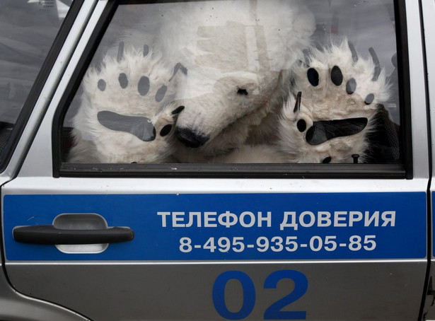 Rosjanie aresztowali polarnego niedźwiedzia. Demonstracja Greenpeace rozbita