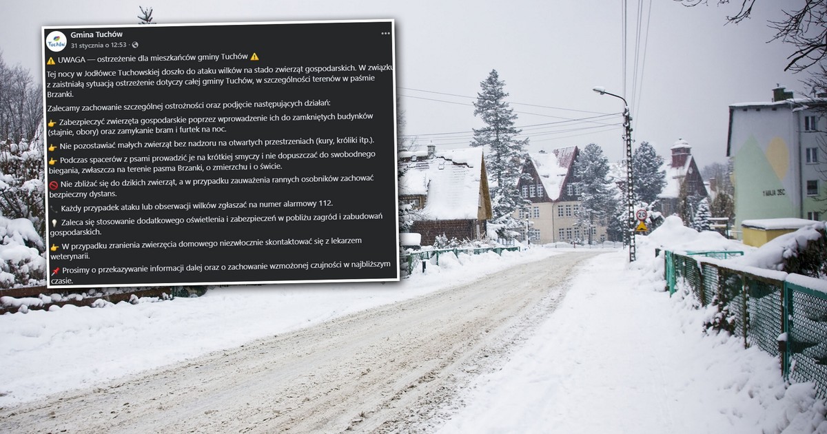 Zamknij furtkę i bramę na noc - apel władz gminy Tuchów