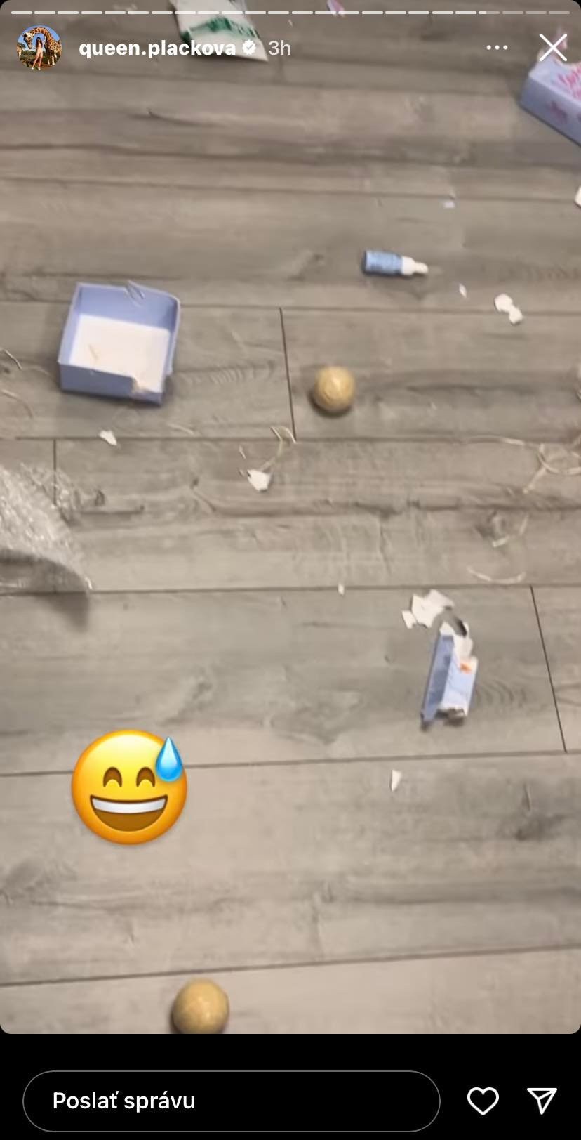 Zuzanin psík Dior narobil v dome poriadnu spúšť. 