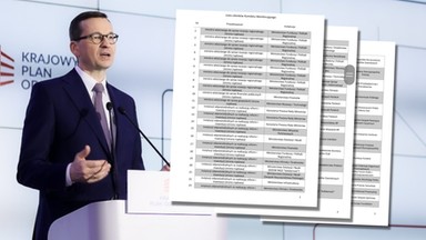 "Swoi" ocenią "swoich". Ludzie bliscy PiS mają kontrolować wydatki z KPO