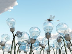 Jak być bogatym i szczęśliwym?