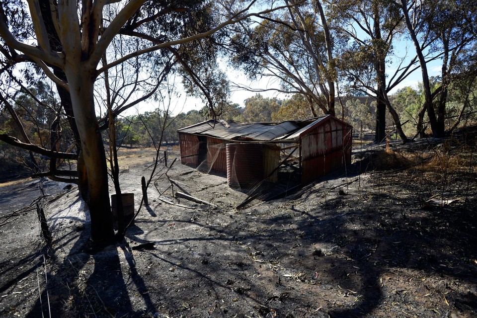 AUSTRALIA BUSHFIRES (Australia battles worst southern bushfires in 30 years )