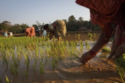 Wzrost PKB Indii zwalnia. To problem dla całego świata