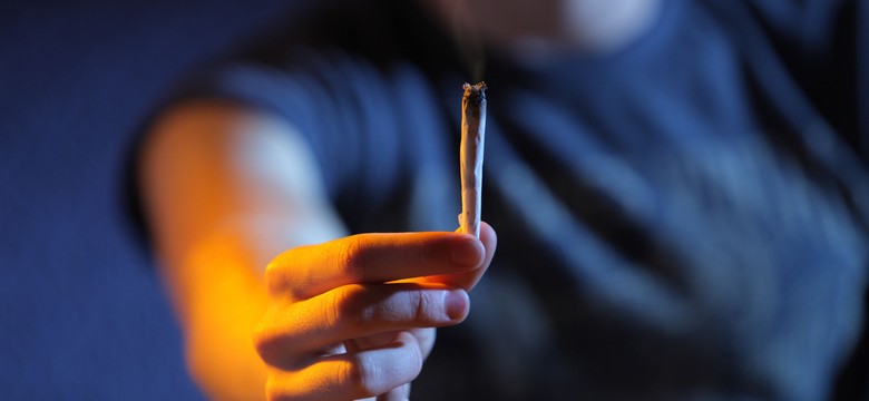 Legalizacja marihuany sposobem na przyciągnięcie turystów? Tak myślą władze wyspy Jersey