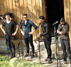 Szafran, Grabaż, zespół Pectus. Oni zagrają on-line, by pomóc choremu chłopcu