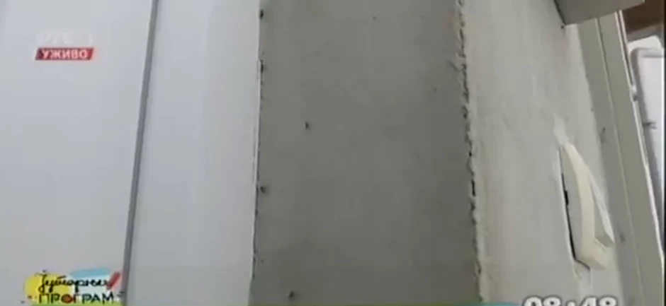 Mravi po zidovima kuća