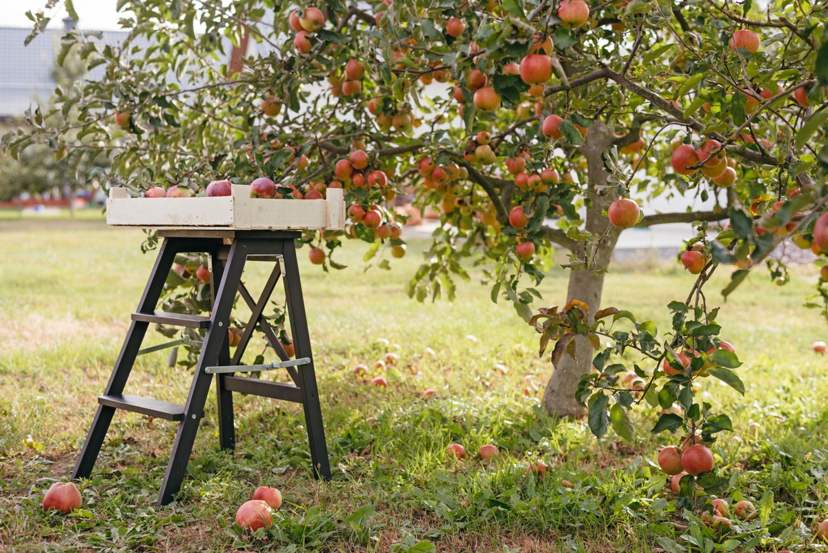 Polska żywność bije rekordy. To nasz towar eksportowy