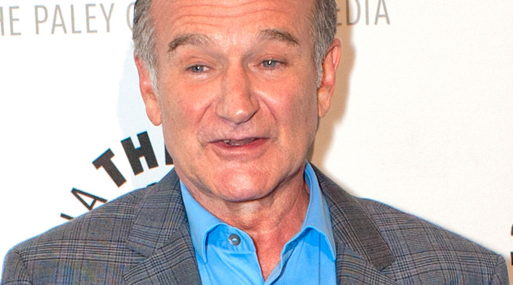 Másfél milliárdért adták el Robin Williams néhai luxusotthonát./ fotó: northfoto