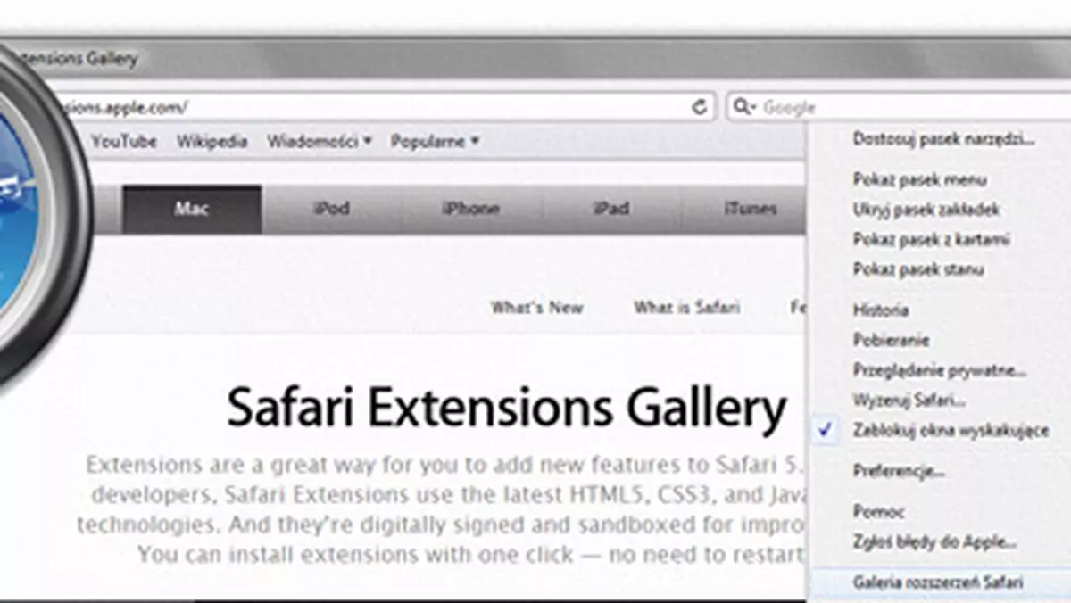 Safari 5.0.1: są wtyczki, jest OK