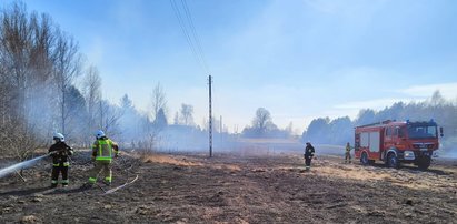 Pożar lasu pod Opocznem. Strażacy znaleźli zwłoki mężczyzny. Zginął, bo ratował las przed ogniem?