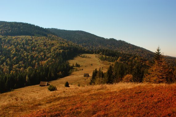 Polana Podskały, Gorce, fot. Marek Michura