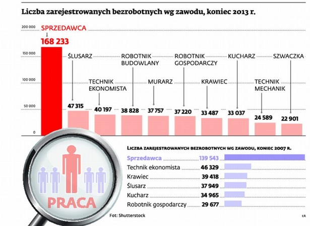 Liczba zarejestrowanych bezrobotnych wg zawodu, koniec 2013 r.