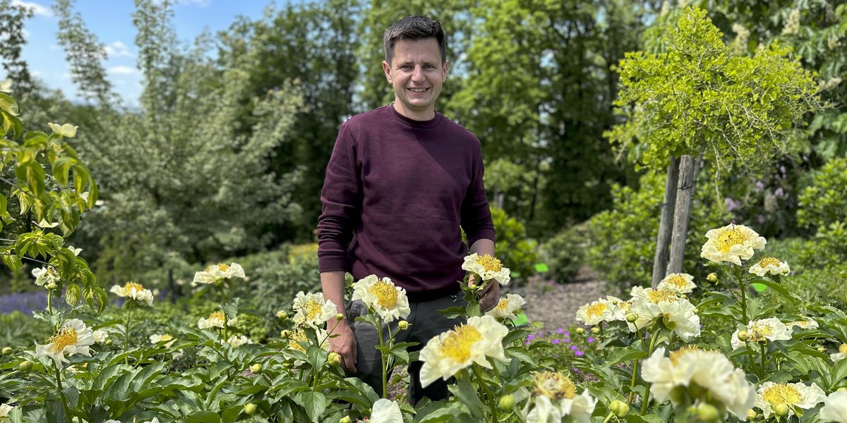 Piwonia jest nazywana "różą bez kolców" i "cesarzową kwiatów". O tym, jak smakuje, będzie się można przekonać podczas VII Święta Piwonii w Arboretum Wojsławice.