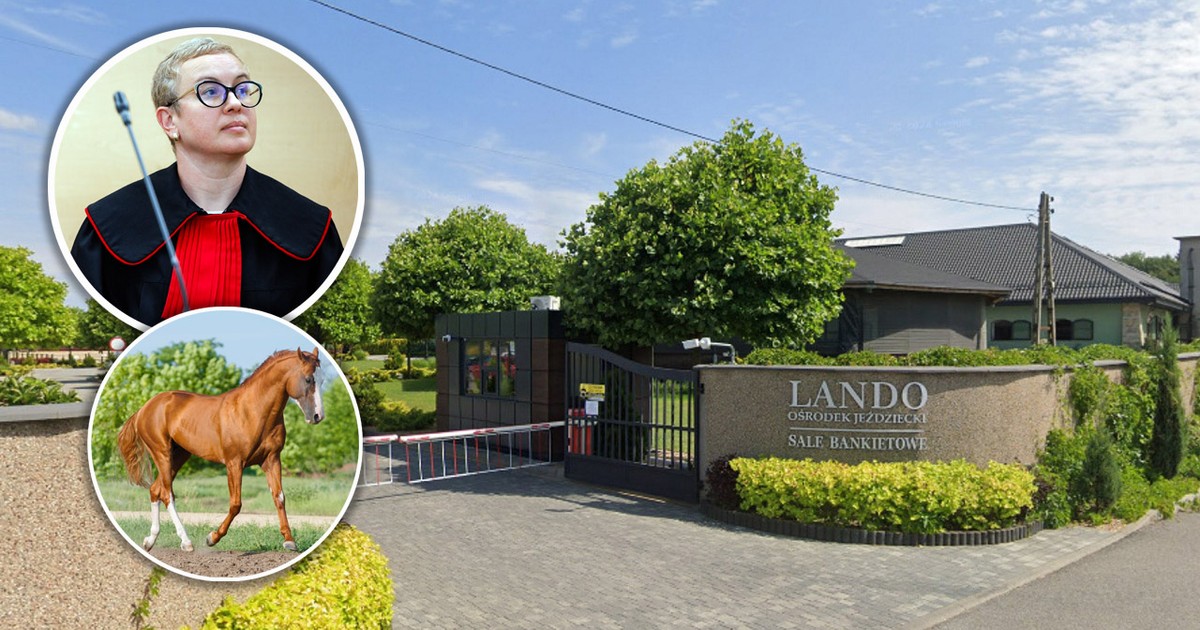 Klacz warta fortunę zginęła w strasznych okolicznościach. Pijany stajenny winę zrzuca na... konia