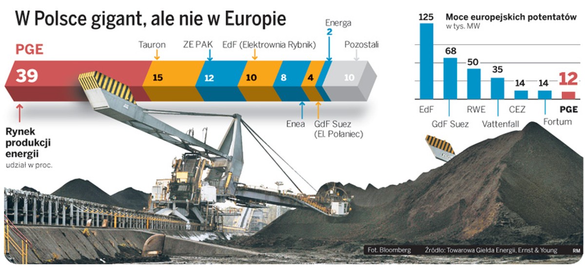 W Polsce gigant, ale nie w Europie