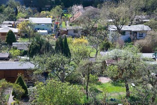 Ogrody działkowe w cenie. Kawałek ziemi nawet za 120 tys. zł