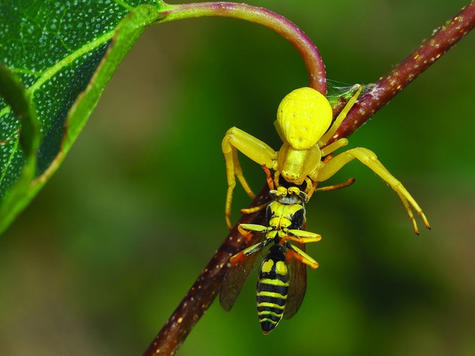 zdjęcie z albumu 'Opowieści z serca Tatr' / fot. Jarosław Wenta