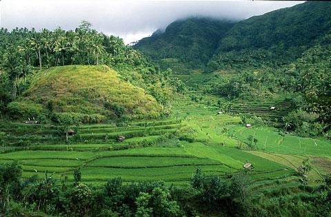 Galeria Indonezja w 5 tygodni. Między Jawą a Flores, obrazek 7