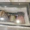 Pekara u Novoj Varoši