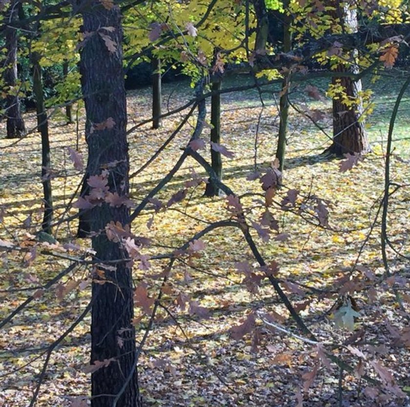 Taki widok z okna ma piosenkarka