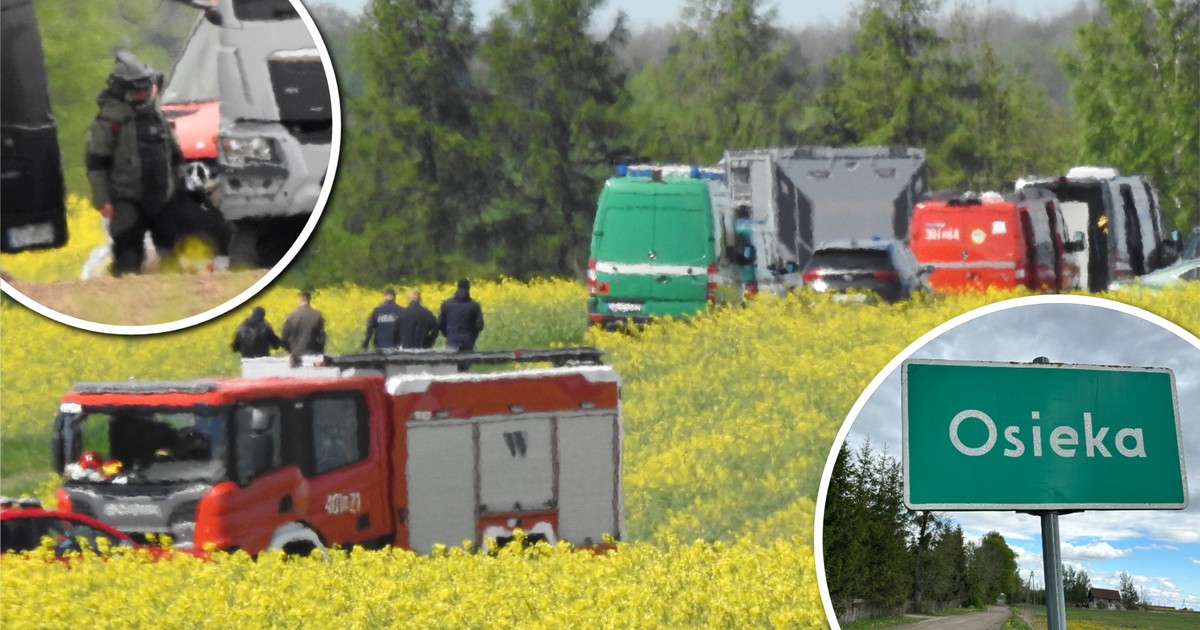 Tajemniczy dron w Osiece: Służby badają obiekt na polu rzepaku