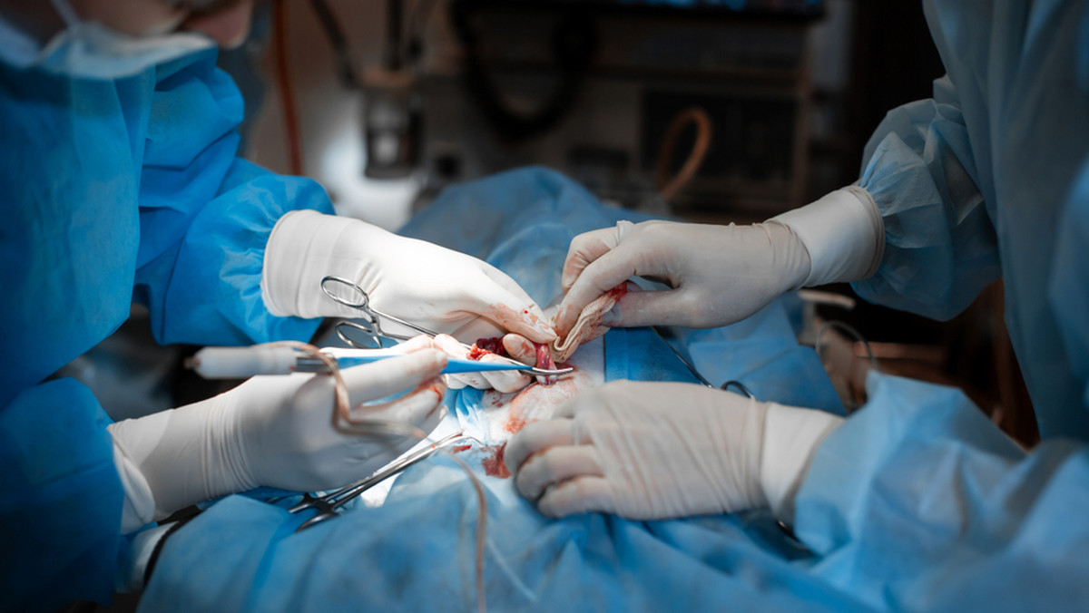 Polska transplantologia ma kłopoty. Coraz mniej dawców i przeszczepów