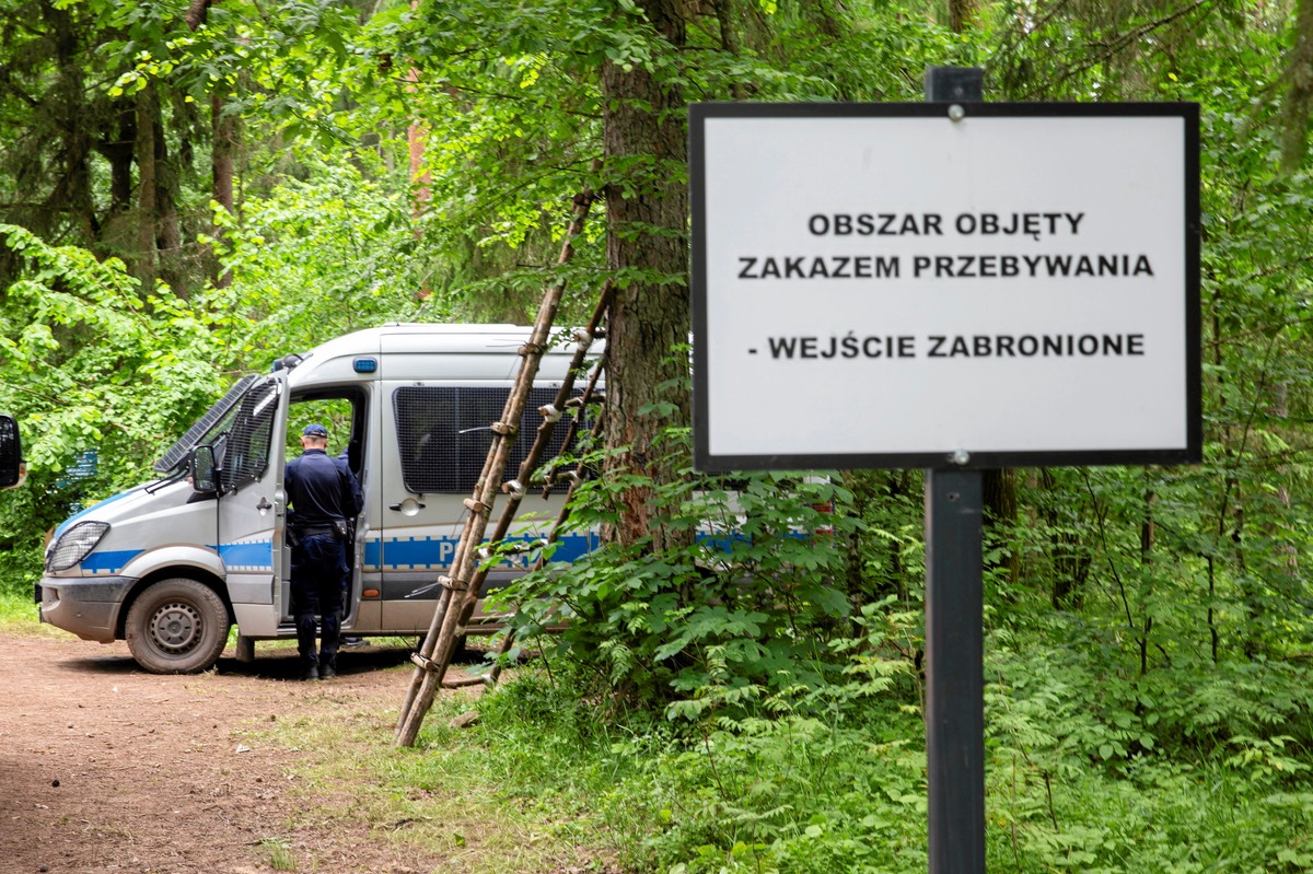 Białowieża. Strefa objęta zakazem przebywania, 200 m od granicy, czyli tzw. strefa buforowa w pobliżu granicy polsko - bialoruskiej, gdzie jest zapora graniczna .