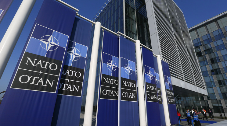 Heteken belül benyújthatja a NATO-tagság kérelmét Finnország / Fotó: Northfoto