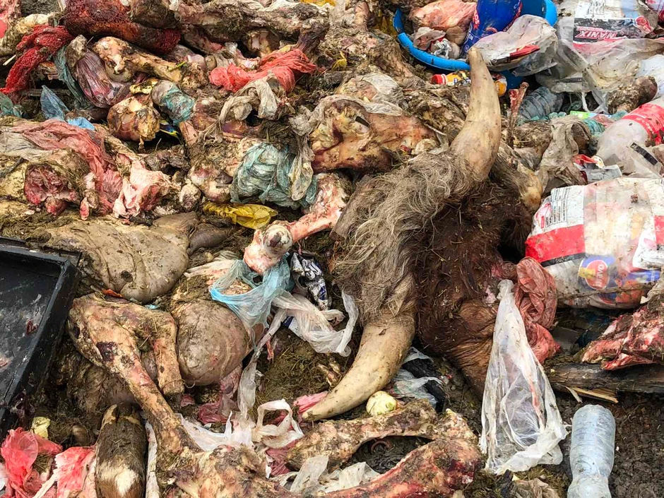 Na deponiju Goveđak više neće biti dovožen klanični otpad i uginula stoka