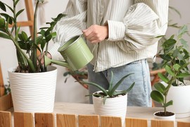 Najbolji trik za zalivanje cveća dok ste na odmoru: Uradite ovo i biće svže i bujne kada se vratite!