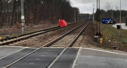 Dramat na torach w Ozorkowie. Pociągi teraz omijają to miejsce