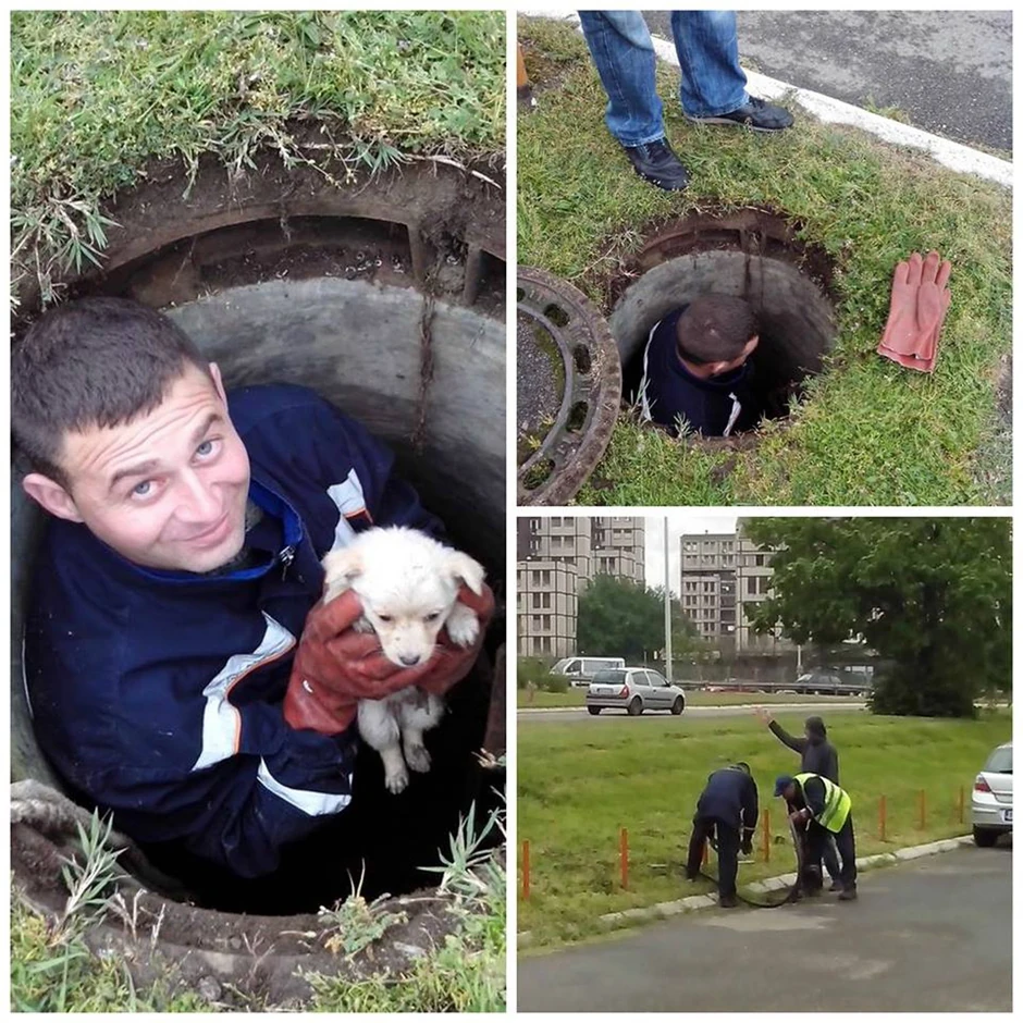 Dejan Nedeljković spasao je nesrećno štene koje je upalo u šahtu Bespomoćno kuče satima je cvilelo u šahtu dok ga Sara Blagojević (21) nije čula. Pozvala je sve službe kojih se setila upomoć, ali je od njih samo čula "nismo odgovorni". Štene je oslobodio Dejan Nedeljković, jedan od radnika "Vodovoda" koji su se jedini odazvali.